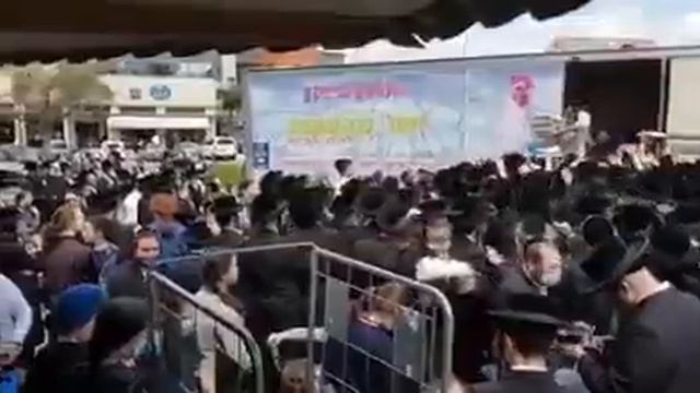 Про куриные яйца в Израиле. Дубль 2