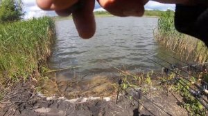 Ловля карпа на Флэт Метод Весной ! Часть 1