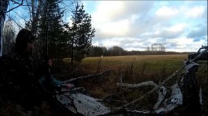 Карабин ВПО-127-02. Вепрь-1В