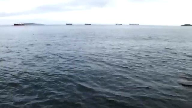 Остров Русский Владивосток. смотреть онлайн