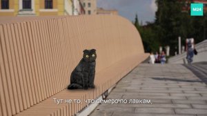 Пешеходный мост с острова Балчуг к Крымской набережной | Кот Бублик
