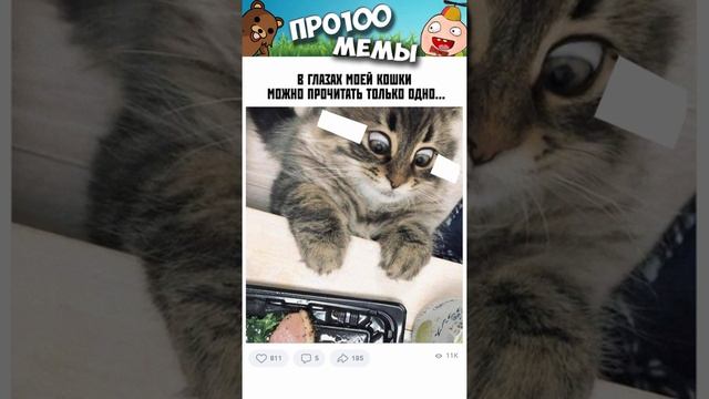 Мемы 2022 ( Тут Про100 #мемы и короткие приколы с котами ) Подборка мемов 364 - Кот и инфаркт жёпы смотреть онлайн