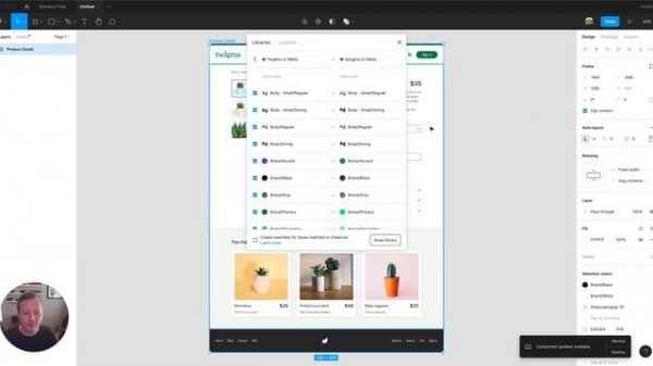 Swap style and component libraries