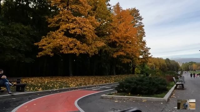 Терапевта уволили за больничный для бродяги, а едва она устроилась сиделкой в странный дом