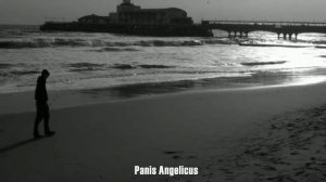 Stjepan Hauser Cello (7)