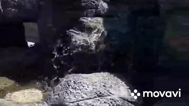 Работы из АРТ БЕТОНА.. МАСТЕРА ИЗ СТАВРОПОЛЯ.. смотреть онлайн