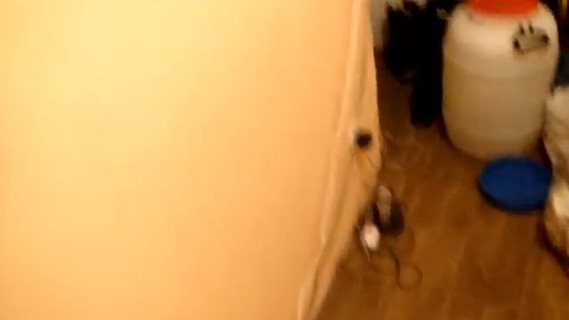 коридор.MPG смотреть онлайн