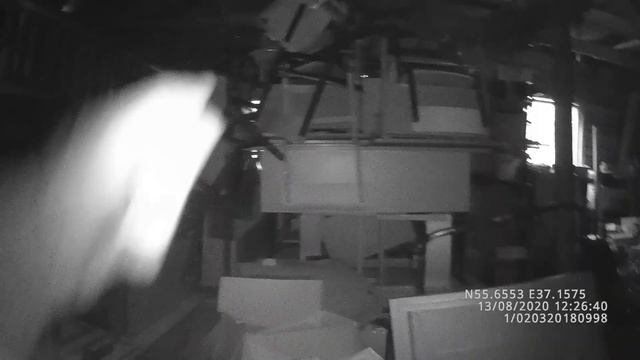 Как найти пропавшую кошку смотреть онлайн