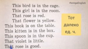 Указательные местоимения this, that, these, those в английском языке для детей видеоурок бесплатно