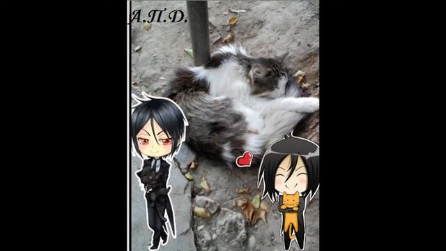 м-магия фотошопа хддд смотреть онлайн