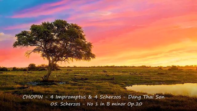 Relaxing piano Music - CHOPIN - 4 Impromptus & 4 Scherzos - Dang Thai Son смотреть онлайн