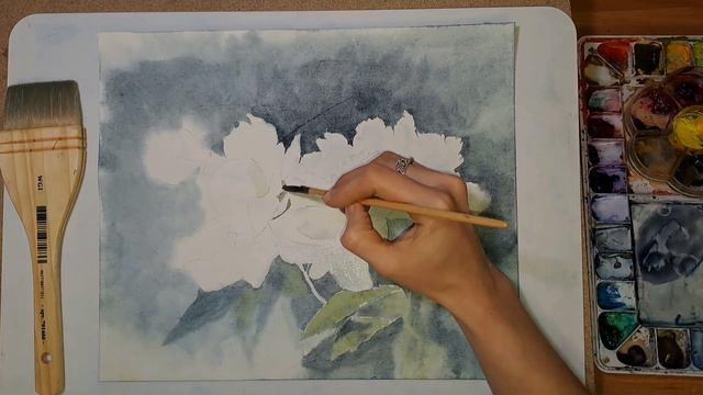 Рисую белые пионы на тёмном фоне акварелью. How to paint white peonies with watercolors. смотреть онлайн
