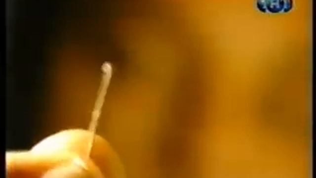 Пылевые клещи. Как избавиться от пылевых клещей? смотреть онлайн