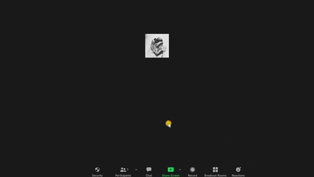 How to Enable Participant Screen Sharing in Zoom for Windows смотреть онлайн