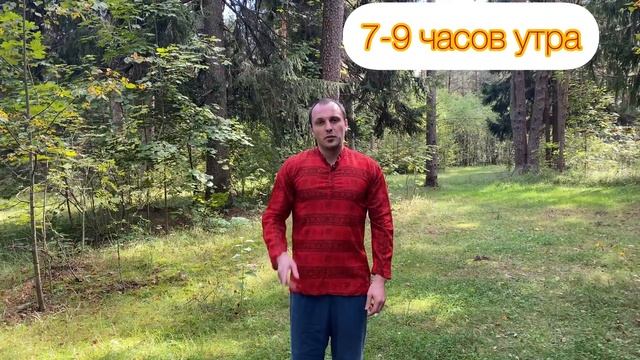 Цзу Сань Ли! Волшебная точка от ста болезней. смотреть онлайн