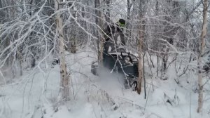 Мороз крепчал,но Буран не заскучал.Вижас НАО