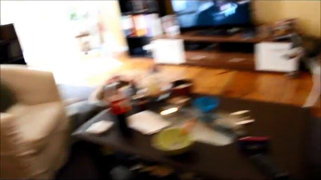 Mops und Husky am toben смотреть онлайн