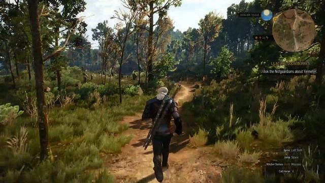 Witcher 3 - Fullscreen vs *Borderless Window 1680x1050 смотреть онлайн