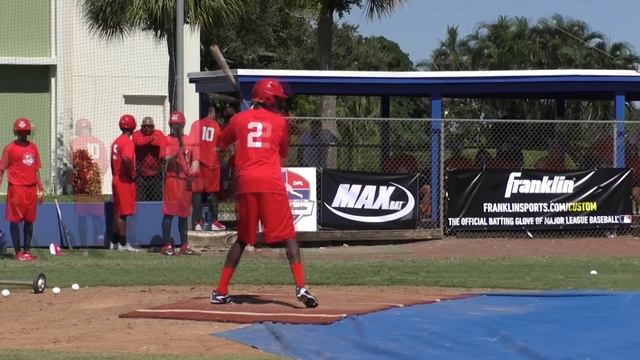Ronny Mauricio SS / 2017 DPL profile смотреть онлайн
