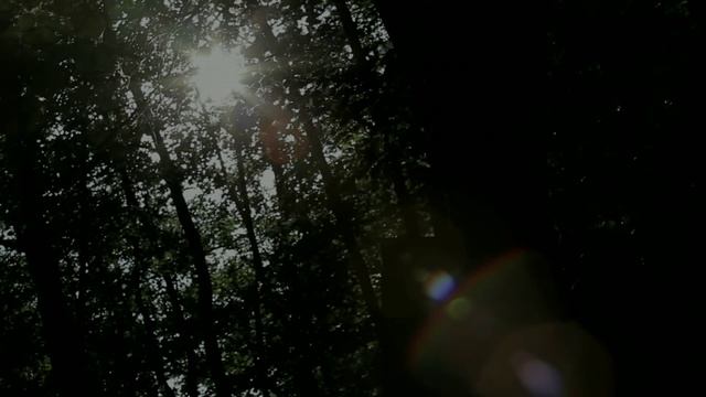 Приглашение на курс "Искусство жизни" смотреть онлайн