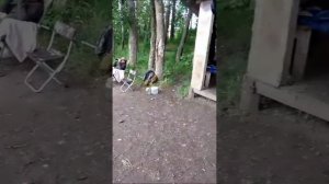 Рыбалка "Кузькин пруд" Белгородская область