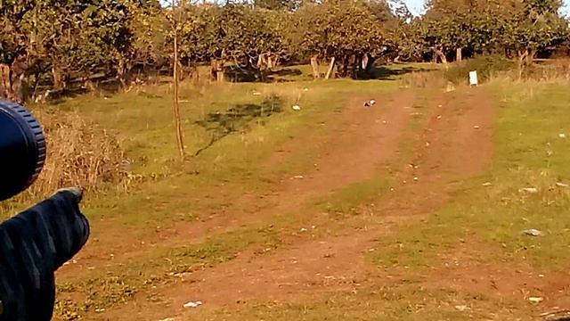 Kral Puncher maxi 5.5 Pcp 100 Metre смотреть онлайн