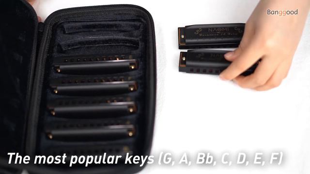 NAOMI 10 Holes C Key Piedmont Blues Harmonica 7 PCS Set - Banggood Toy&Hobbies смотреть онлайн