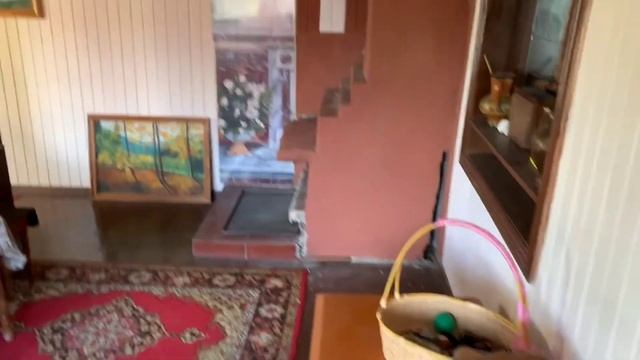 Обзор дачи, 1-Водненские смотреть онлайн