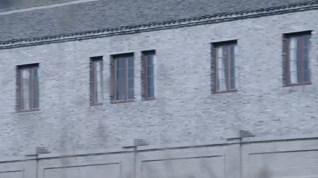 【奪命狙擊電影】女狙擊手製高點開槍狙擊手，100米外精準爆頭10人！⚔️ 抗日 MMA | Kung Fu смотреть онлайн