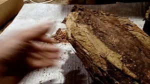 Результат ферментации Табака в бане.