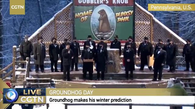 Live: Spectators gather to celebrate Groundhog Day in Pennsylvania北美传统节日“土拨鼠日” смотреть онлайн
