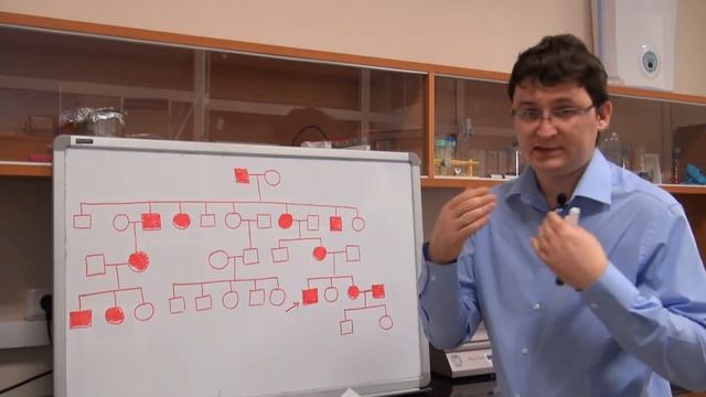 Анализ родословных. Урок 7. Задача 7.5 (быстрый разбор в конце видео) смотреть онлайн