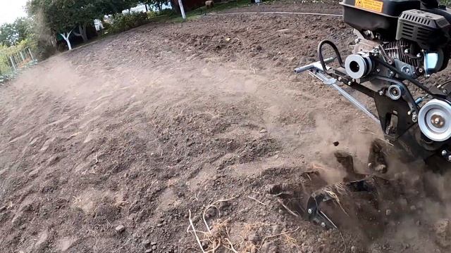 ВСЯ ПРАВДА про КАРТОПЛЕКОПАЛКИ. Тепер МОТОБЛОК ДТЗ 470 ФРЕЗЕРУЄ по ДРУГОМУ! СИДЕРАТ горчиця-100%!! смотреть онлайн