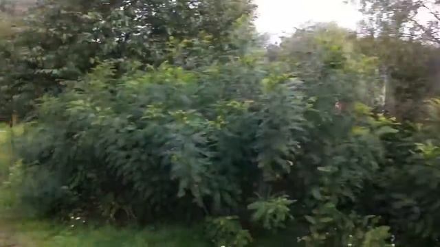 Рыбалка Черкассы 2011 HD