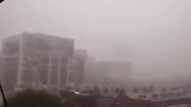 10 Гигантских Страшных Монстров, Снятых На Камеру смотреть онлайн