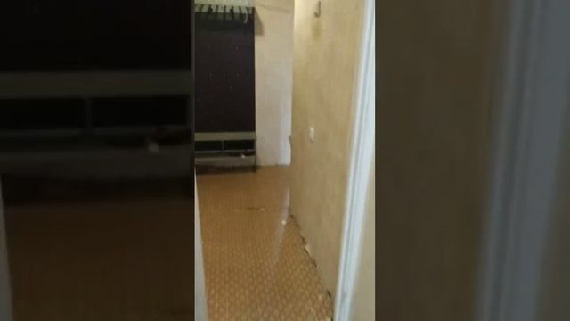 Продажа 2комнатной квартиры в г. Фрязино, ул. Полевая 13 смотреть онлайн