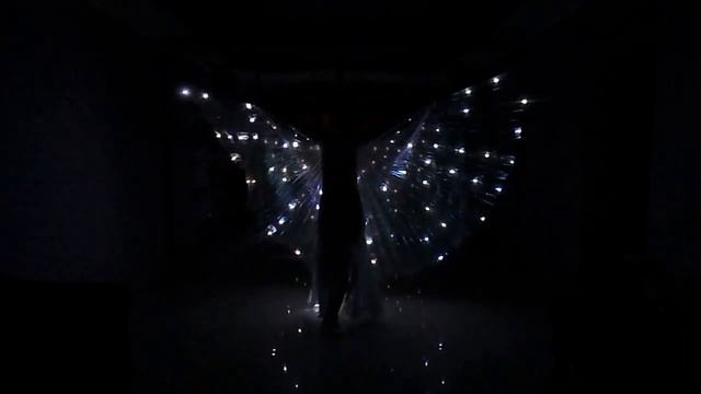 (Led wings) Светодиодные крылья "Pass de Bleu-140" мерцание в белом цвете +79264404648 смотреть онлайн