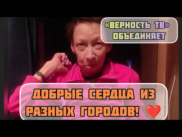 СПАСЕНИЕ ЖИВОТНЫХ НАШЕ ОБЩЕЕ ДЕЛО! Города объединяются с бесплатной ветеринарной службой «ВЕРНОСТЬ»