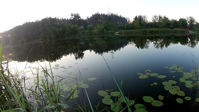 Ловля Леща на Поплавок с Кладки Летом смотреть онлайн