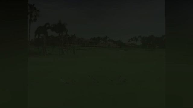 Angry Ducks Interrupt Golf Game By Chasing Alligator Down The Course смотреть онлайн