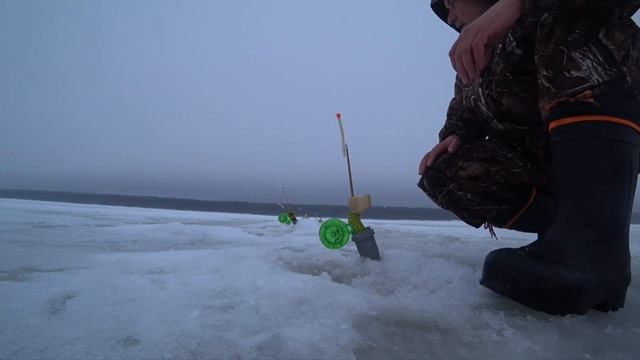 Смолячково. Корюшка. Судак. Рыбалка 25.02.22. смотреть онлайн