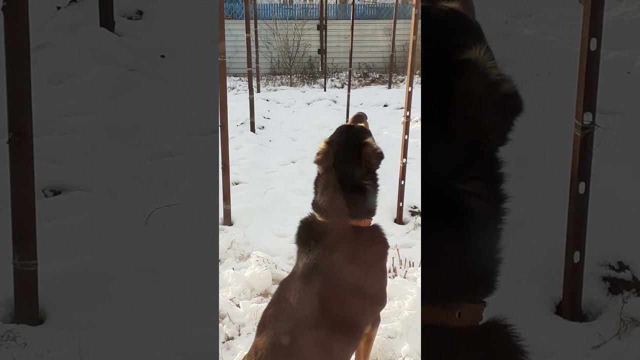 на службе.... смотреть онлайн