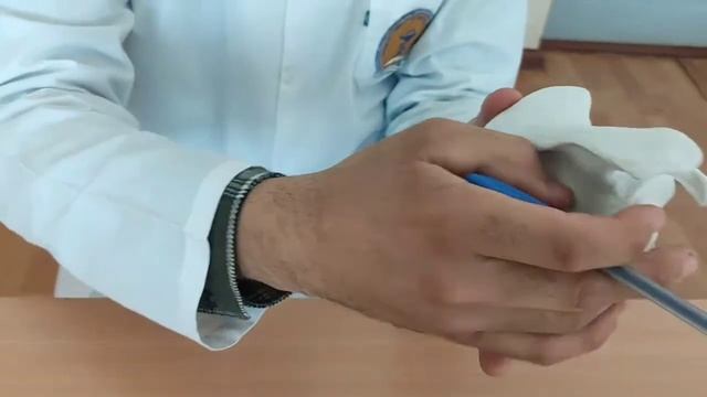 Елка камари. Курак ва умров. Yelka kamari kurak va oʻmrov suyaklari смотреть онлайн
