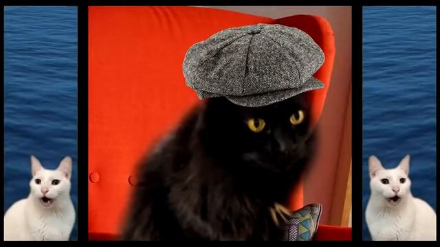 Кошки поют Baby Shark | Песни животных | Кошачья версия смотреть онлайн