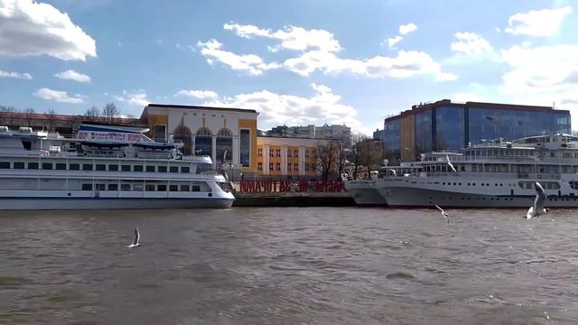 Видео фон сайта смотреть онлайн
