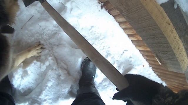 БАРАНИНКА НА ПРОЗАПАС смотреть онлайн