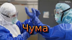 Чума. История изучения, симптомы, лечение, профилактика