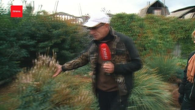 Джентльмен у дачи: Ермолаево смотреть онлайн