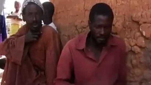 Баобаб - где растет и как обрабатывается