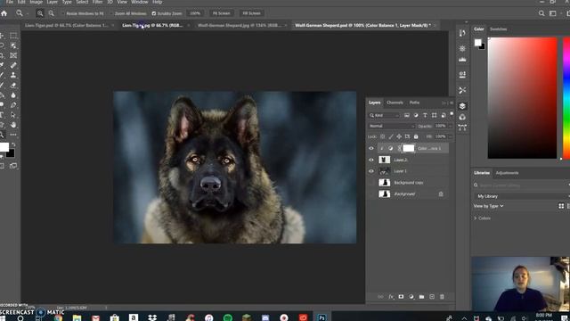 Hybrid Animal Project смотреть онлайн